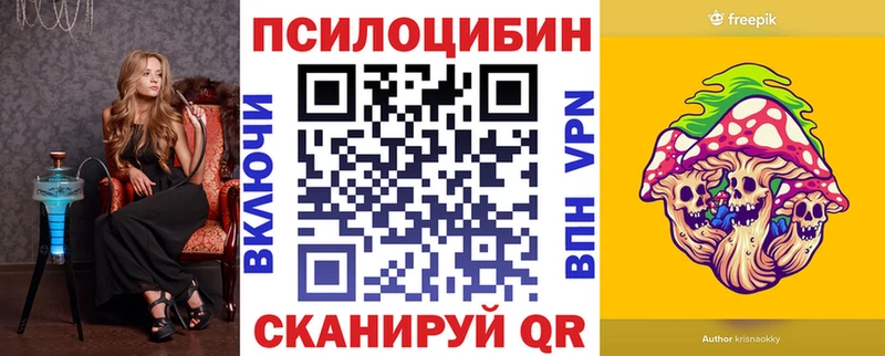 сколько стоит Горбатов OMG tor Псилоцибиновые грибы прущие грибы