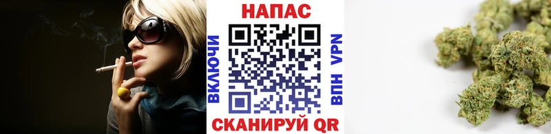Канабис план  Горбатов 